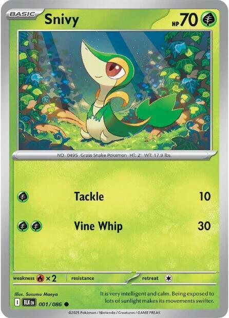 Snivy Card Front