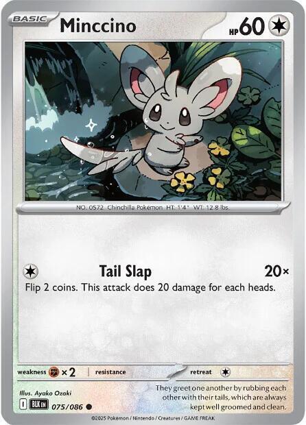 Minccino Card Front