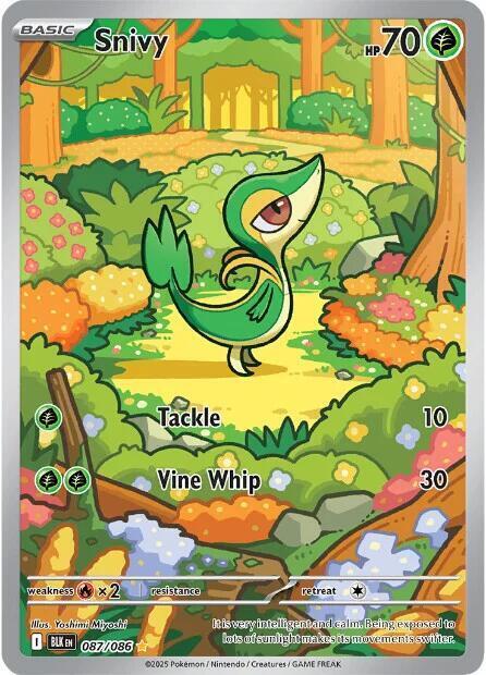Snivy Card Front