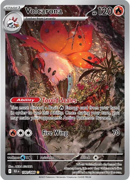 Volcarona Card Front