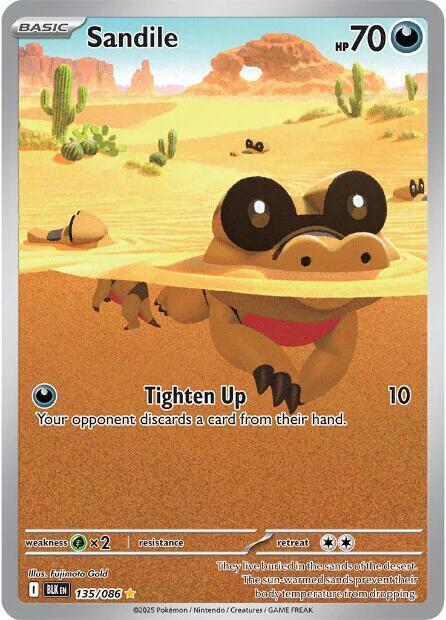 Sandile Card Front