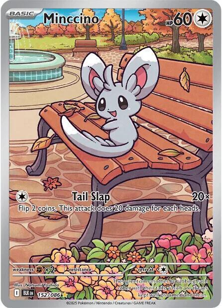 Minccino Card Front