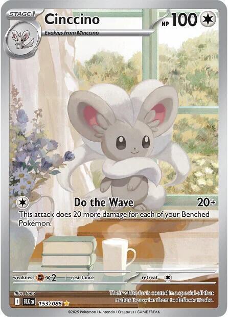 Cinccino Card Front