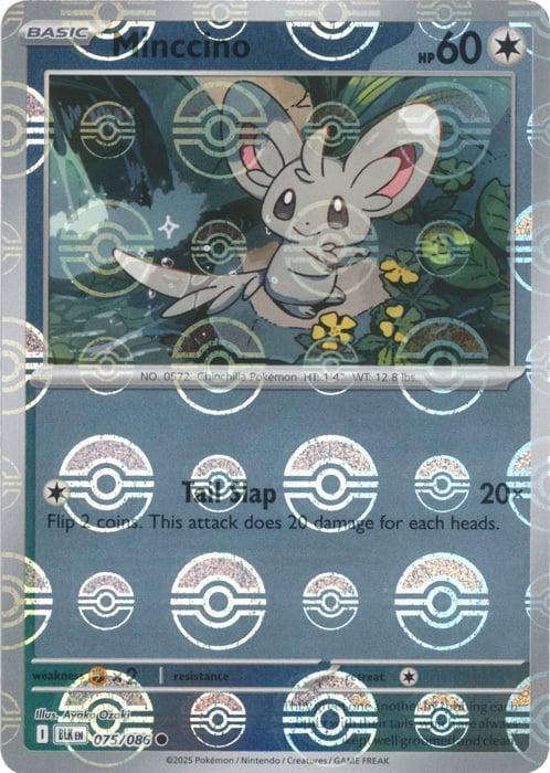 Minccino Card Front