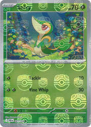 Snivy