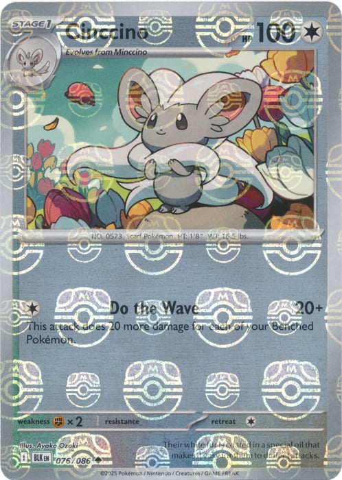 Cinccino Card Front