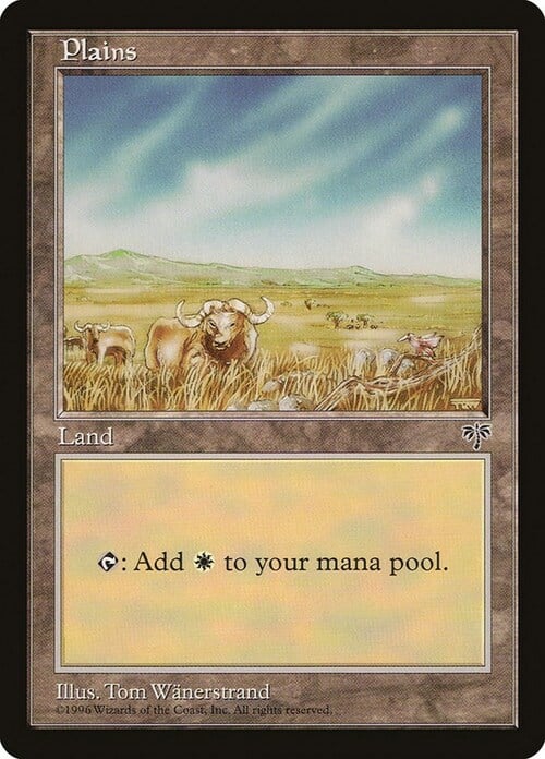 Plains Card Front