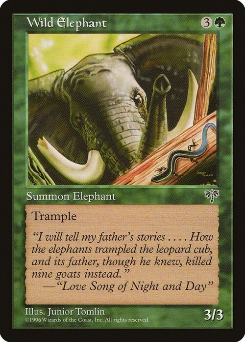 Wild Elephant Card Front