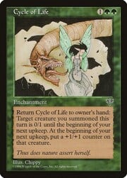 Cycle of Life 211