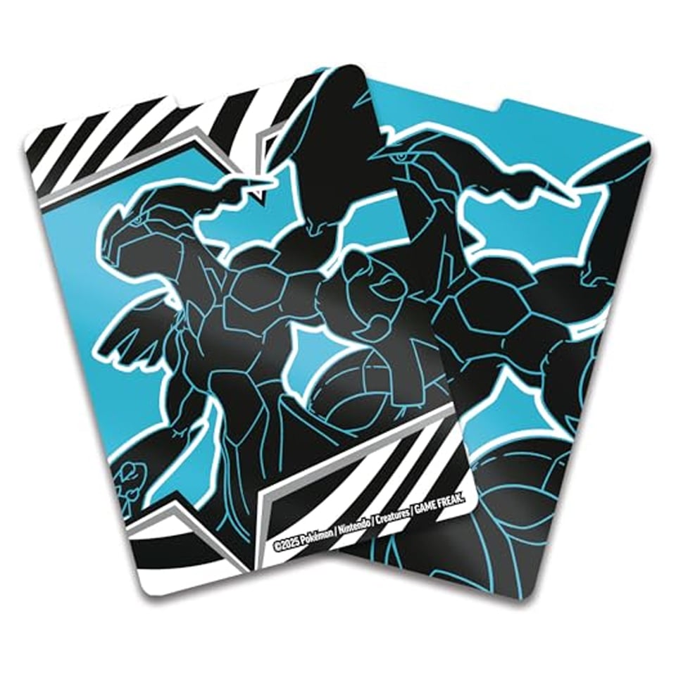 Separatore Luce Nera: Zekrom