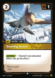 Soaring Scout 216