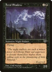 Feral Shadow 122