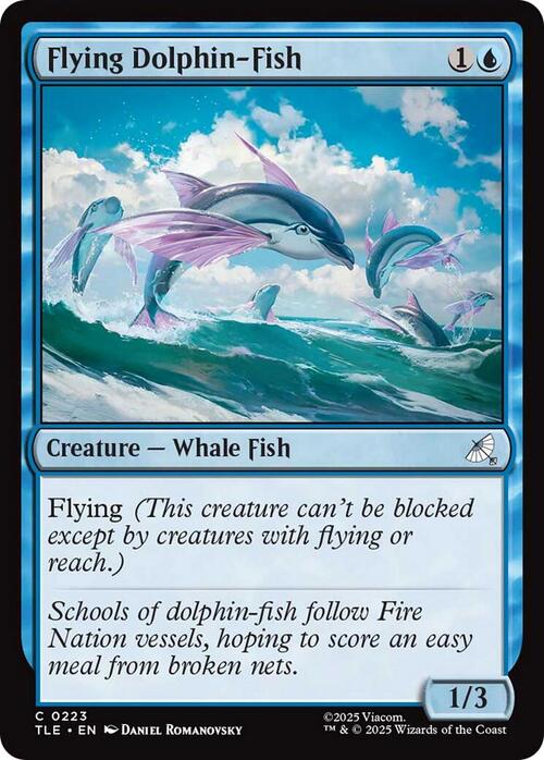 Flying Dolphin-Fish Card Front