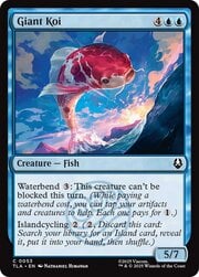 Giant Koi 053