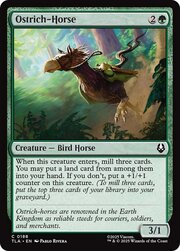 Ostrich-Horse 188