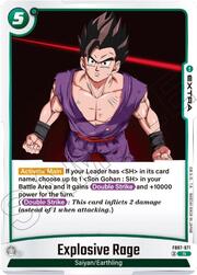 Explosive Rage FB07-071