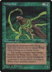 Whip Vine · 2 103b