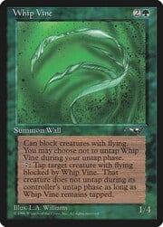 Whip Vine · 1 103a