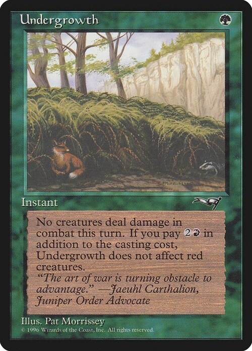 Undergrowth Card Front