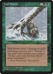 Hail Storm 095