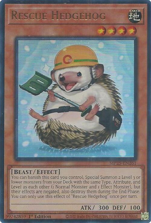 Rescue Hedgehog Card Front