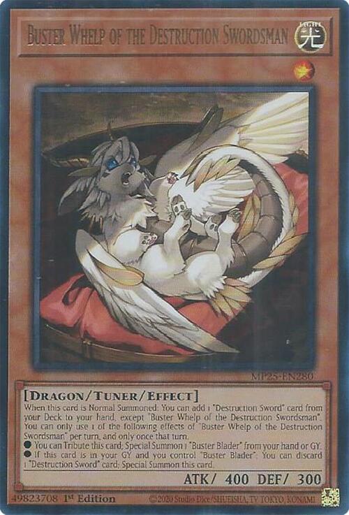 Buster Whelp of the Destruction Swordsman Card Front
