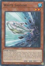 White Sardine · Common 305