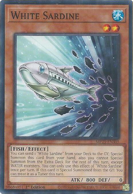 Sardina Bianca Card Front