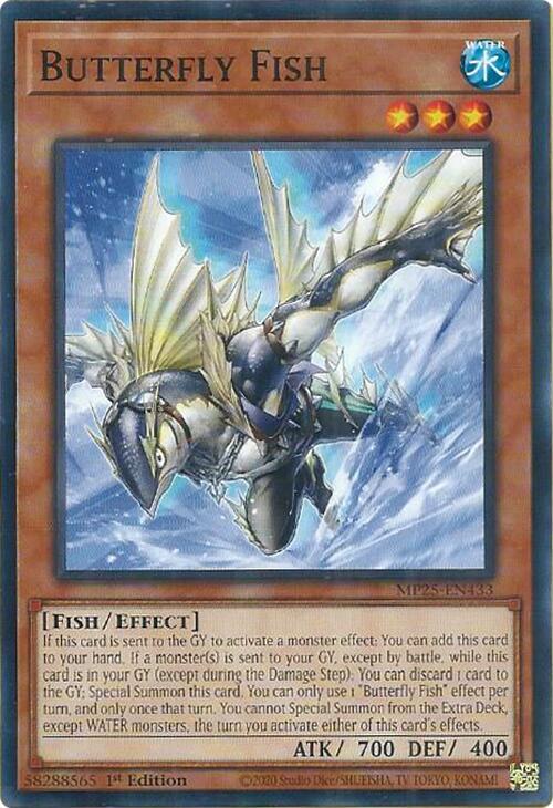 Pesce Farfalla Card Front