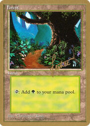 Forest 376