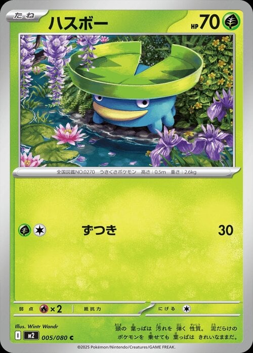Lotad Card Front