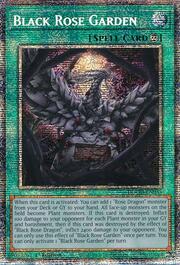 Black Rose Garden · Starlight Rare 055sl