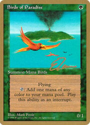 Birds of Paradise 234