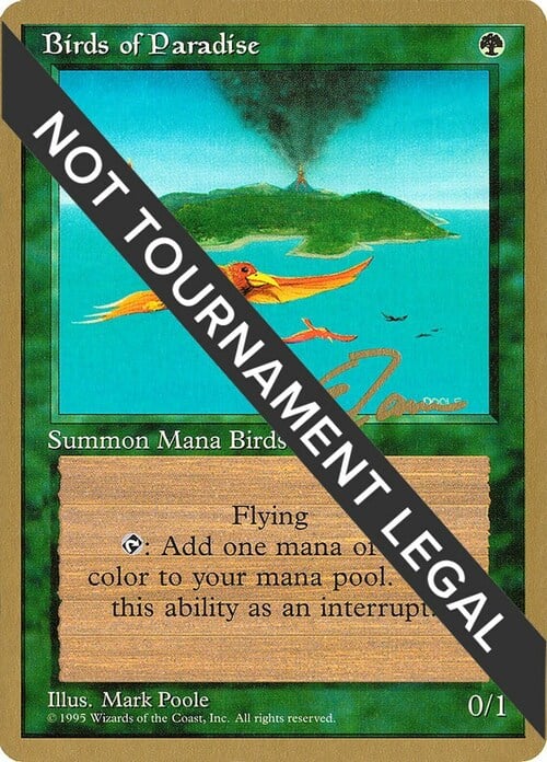 Birds of Paradise Card Front