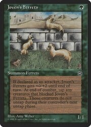 Joven's Ferrets 089