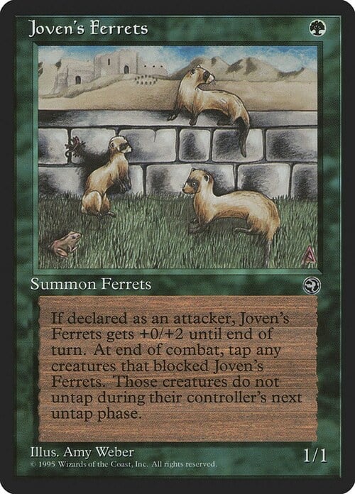 Joven's Ferrets Card Front