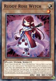 Ruddy Rose Witch · Common A13