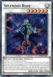 Splendid Rose · Common A27