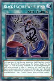 Black Feather Whirlwind · Common C22