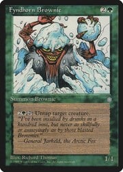 Fyndhorn Brownie 242