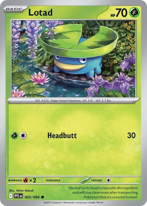 Lotad Card Front