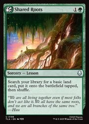 Shared Roots 196
