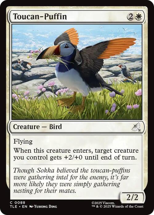 Toucan-Puffin Card Front