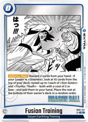 Fusion Training SB02-031