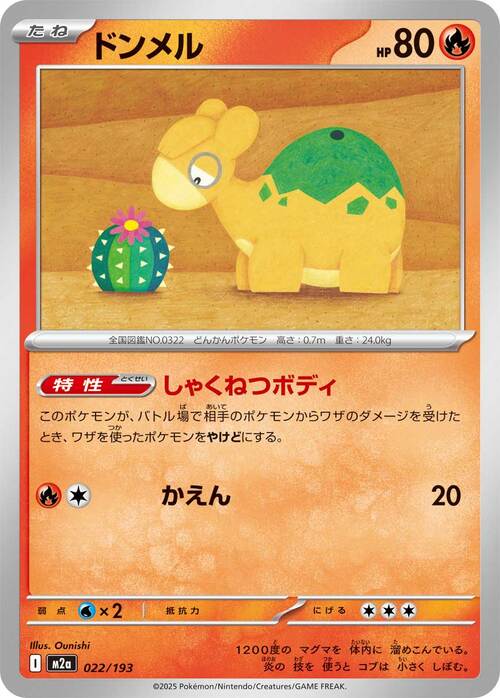Numel Card Front