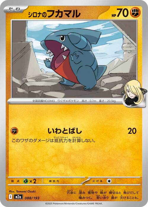 Gible de Cintia Card Front