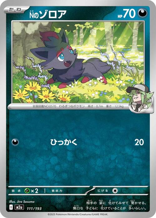N's Zorua Card Front