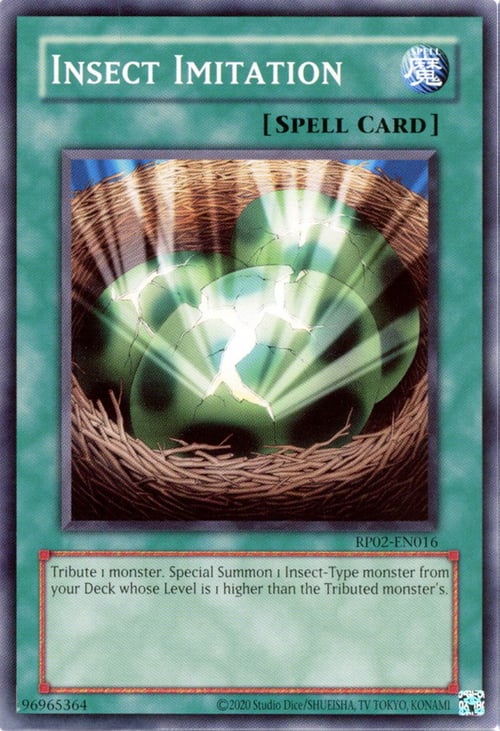 Insect Imitation Card Front