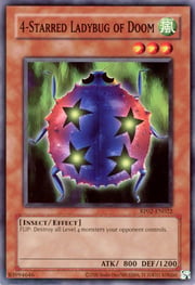 4-Starred Ladybug of Doom · Common | ©2020 022