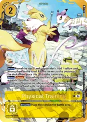 Physical Training